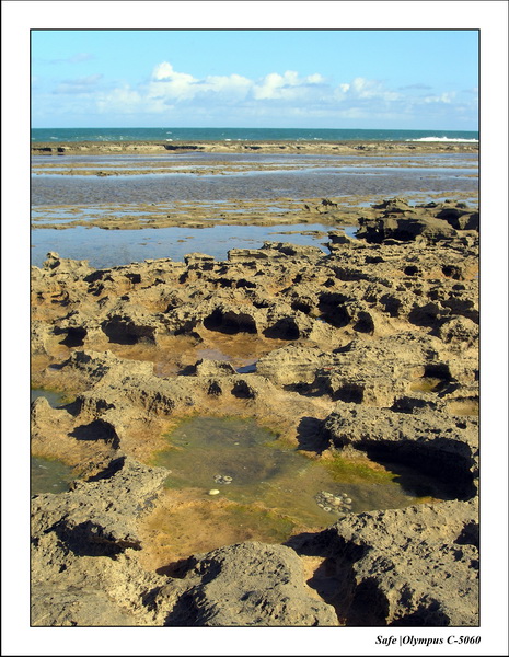 2005 - 11 - Porto de galinhas - alto muro 22.JPG